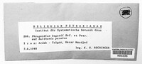 Image of Phragmidium bayatii